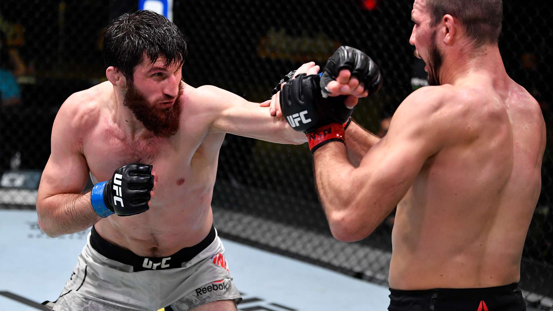 接触到了不 接触到了不